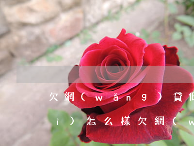 欠網(wǎng)貸低于一萬沒還會(huì)怎么樣(欠網(wǎng)貸一千不還了會(huì)怎么樣)