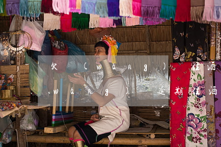 欠網(wǎng)貸住酒店警察會抓嗎(網(wǎng)貸逾期住酒店警察會找嗎)