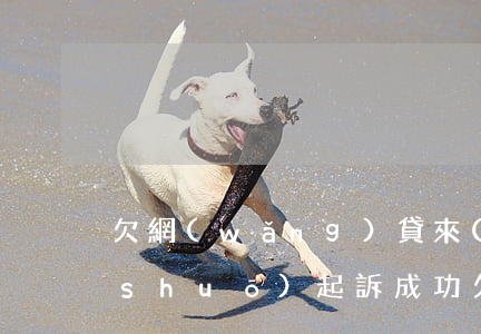 欠網(wǎng)貸來(lái)信息說(shuō)起訴成功(欠網(wǎng)貸來(lái)信息說(shuō)起訴成功)