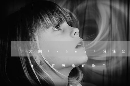欠網(wǎng)貸保全房子(欠網(wǎng)貸被訴前保全)
