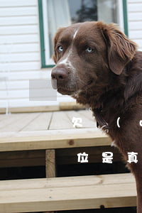 欠網(wǎng)貸信息說衛(wèi)定位是真的嗎(網(wǎng)貸會被定位嗎)