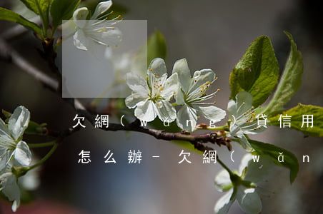 欠網(wǎng)貸信用卡10多萬還不起怎么辦-欠網(wǎng)貸信用卡10多萬還不起怎么辦呢