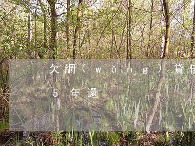 欠網(wǎng)貸信用卡30萬還不起分5年還