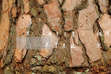 欠網(wǎng)貸信用卡35萬(wàn)還不了怎么辦-欠網(wǎng)貸信用卡35萬(wàn)還不了怎么辦呢