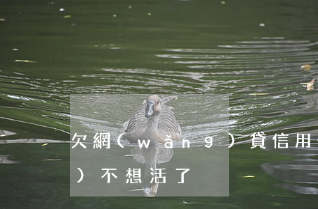 欠網(wǎng)貸信用卡40萬(wàn)不想活了