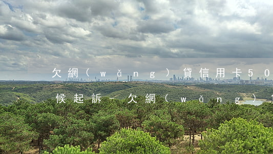 欠網(wǎng)貸信用卡50多萬什么時候起訴-欠網(wǎng)貸信用卡50多萬什么時候起訴的