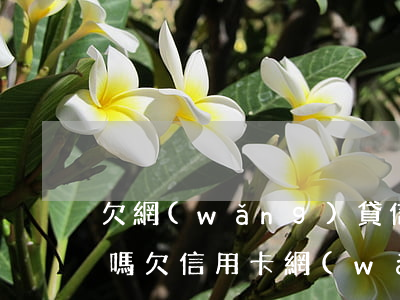 欠網(wǎng)貸信用卡50多萬會判刑嗎(欠信用卡網(wǎng)貸50萬無力償還會坐牢嗎)