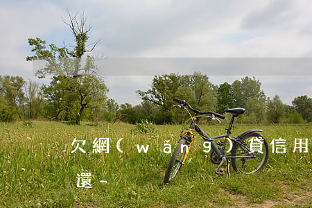 欠網(wǎng)貸信用卡50多萬無力償還-