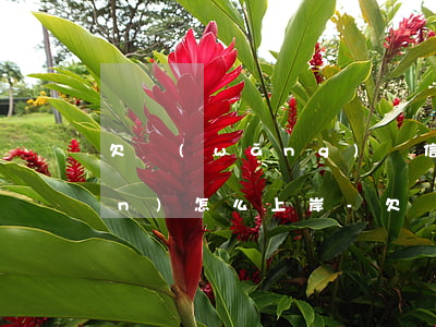 欠網(wǎng)貸信用卡60多萬(wàn)怎么上岸-欠網(wǎng)貸信用卡60多萬(wàn)怎么上岸的