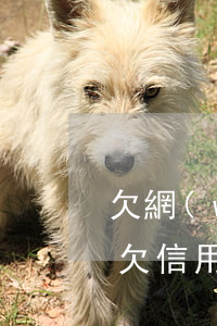 欠網(wǎng)貸信用卡60萬如何翻身(欠信用卡網(wǎng)貸幾十萬)