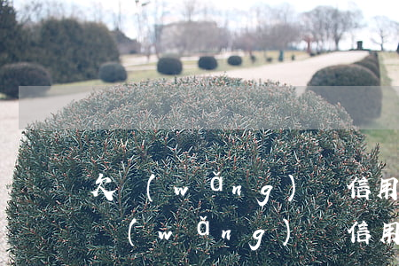 欠網(wǎng)貸信用卡60萬怎么還(欠網(wǎng)貸信用卡五十多萬)