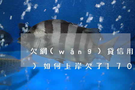 欠網(wǎng)貸信用卡70萬(wàn)如何上岸(欠了170萬(wàn)信用卡和網(wǎng)貸如何翻身)