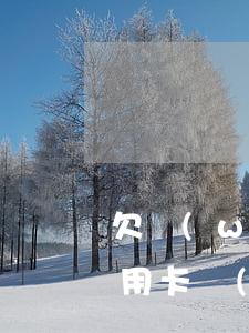 欠網(wǎng)貸信用卡7萬還不上(欠信用卡網(wǎng)貸幾十萬)
