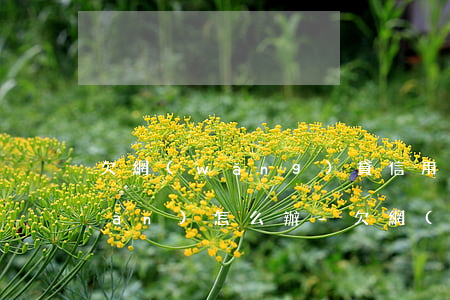 欠網(wǎng)貸信用卡一共十幾萬(wàn)怎么辦-欠網(wǎng)貸信用卡一共十幾萬(wàn)怎么辦啊