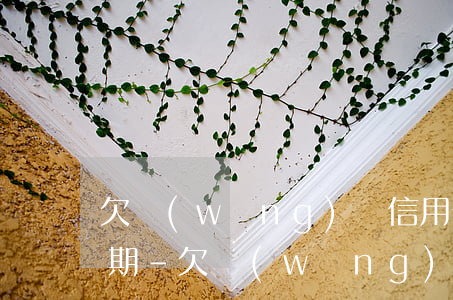 欠網(wǎng)貸信用卡一百多萬全部逾期-欠網(wǎng)貸信用卡一百多萬全部逾期怎么辦