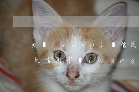 欠網(wǎng)貸信用卡二十幾萬逾期了(欠信用卡網(wǎng)貸60多萬)