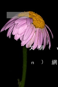 欠網(wǎng)貸信用卡五十多萬(wàn)（網(wǎng)貸信用卡全部逾期25萬(wàn)）