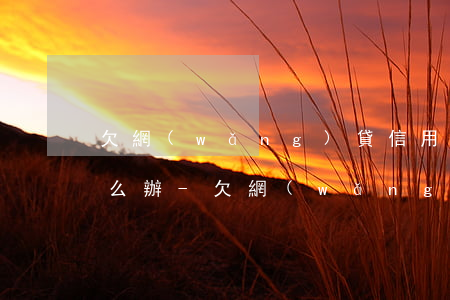 欠網(wǎng)貸信用卡十幾萬還不起怎么辦-欠網(wǎng)貸信用卡十幾萬還不起怎么辦呢
