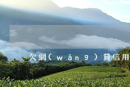 欠網(wǎng)貸信用卡如果三年還不上