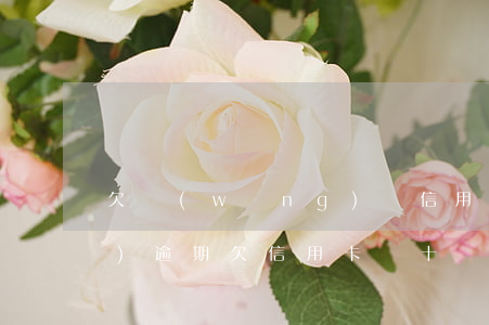欠網(wǎng)貸信用卡幾十萬(wàn)逾期(欠信用卡幾十萬(wàn)全部逾期還不了怎么辦)