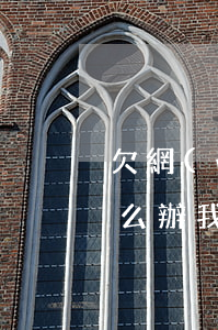 欠網(wǎng)貸信用卡很多錢還不上怎么辦(我欠信用卡,網(wǎng)貸,現(xiàn)在還不上,該怎么辦)
