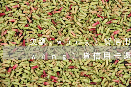 欠網(wǎng)貸信用卡怎么解決(欠網(wǎng)貸信用卡還不了怎么辦)