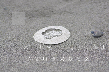 欠網(wǎng)貸信用卡怎樣才坐牢(坐牢了信用卡欠款怎么辦)