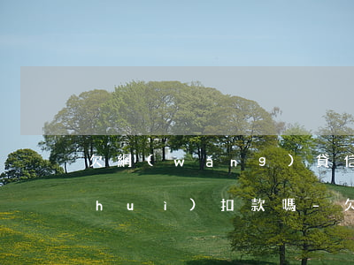 欠網(wǎng)貸信用卡新辦銀行卡會(huì)扣款嗎-欠網(wǎng)貸信用卡新辦銀行卡會(huì)扣款嗎安全嗎