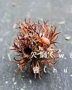 欠網(wǎng)貸信用卡會(huì)不會(huì)坐牢(欠網(wǎng)貸會(huì)不會(huì)凍結(jié)信用卡)