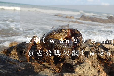 欠網(wǎng)貸信用卡會(huì)連累老公嗎(欠網(wǎng)貸信用卡會(huì)連累老公嗎)