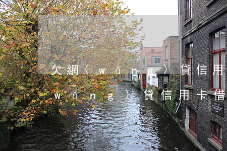 欠網(wǎng)貸 信用卡沒錢還咋辦(網(wǎng)貸,信用卡,借的錢沒有錢還怎么辦)