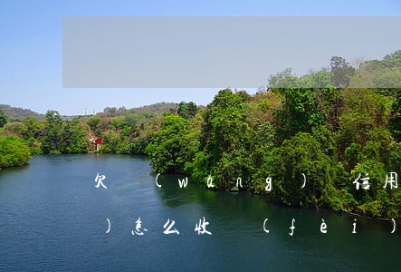 欠網(wǎng)貸信用卡法律服務(wù)怎么收費(fèi)-欠網(wǎng)貸信用卡法律服務(wù)怎么收費(fèi)的