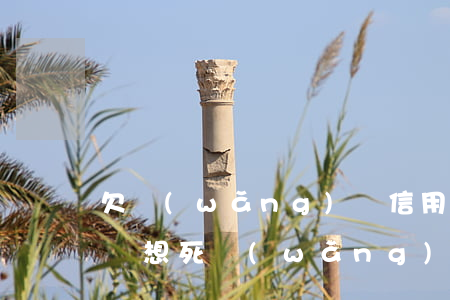 欠網(wǎng)貸信用卡無(wú)力償還 想死(網(wǎng)貸和信用卡怎么辦)