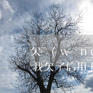 欠網(wǎng)貸信用卡無力償還怎么辦(我欠了信用卡與網(wǎng)貸怎么辦)