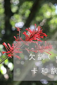 欠網(wǎng)貸信用卡的人多嗎(欠信用卡和網(wǎng)貸太多怎么辦?)
