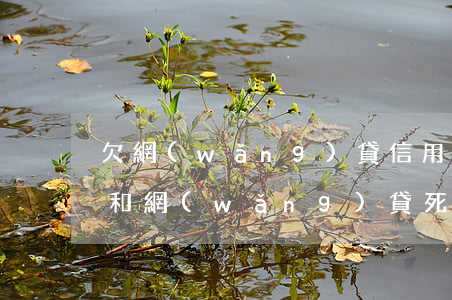 欠網(wǎng)貸信用卡等死中(欠信用卡和網(wǎng)貸死了還要償還嗎)