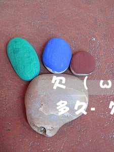欠網(wǎng)貸信用卡被起訴的期限是多久-欠網(wǎng)貸信用卡被起訴的期限是多久啊