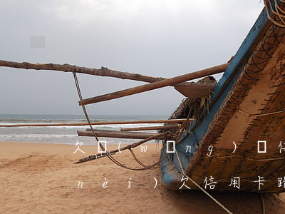 欠網(wǎng)貸信用卡跑到國外(國內(nèi)欠信用卡跑去國外)