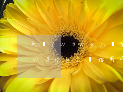 欠網(wǎng)貸信用卡逾期后果(欠網(wǎng)貸信用卡多久會被起訴)