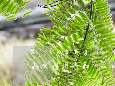 欠網(wǎng)貸信用卡還不上怎么解決好(欠信用卡和網(wǎng)貸現(xiàn)在還不上)