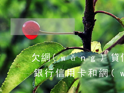 欠網(wǎng)貸信用卡還不上怎么辦(欠銀行信用卡和網(wǎng)貸還不上怎么辦)