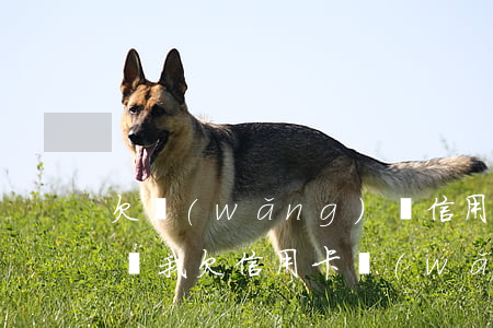 欠網(wǎng)貸信用卡還不上會被起訴嗎(我欠信用卡,網(wǎng)貸,現(xiàn)在還不上,該怎么辦)