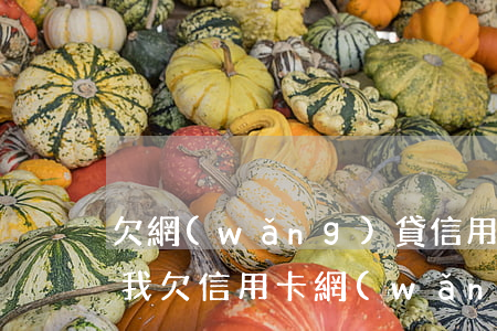 欠網(wǎng)貸信用卡還不上要怎么辦(我欠信用卡,網(wǎng)貸,現(xiàn)在還不上,該怎么辦)
