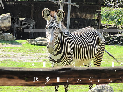 欠網(wǎng)貸信用卡還不起想死(欠了很多網(wǎng)貸信用卡,好想死了)