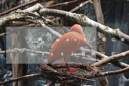 欠網(wǎng)貸信用卡還有救嗎(欠網(wǎng)貸跟欠信用卡哪個可怕)