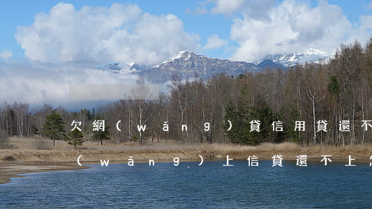 欠網(wǎng)貸信用貸還不上怎么辦(網(wǎng)上信貸還不上怎么辦)