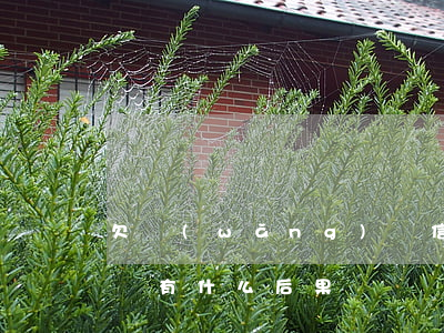 欠網(wǎng)貸信貸失聯(lián)會有什么后果