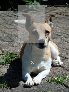 欠網(wǎng)貸借信用貸補(bǔ)(欠網(wǎng)貸借信用貸補(bǔ))