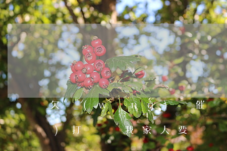 欠網(wǎng)貸催債人有權(quán)打電話我家人要錢嗎-欠網(wǎng)貸催債人有權(quán)打電話我家人要錢嗎怎么辦