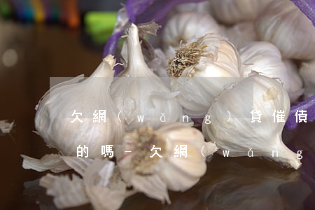 欠網(wǎng)貸催債公司說要上門是真的嗎-欠網(wǎng)貸催債公司說要上門是真的嗎嗎